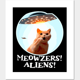 Ufo Cat Posters and Art